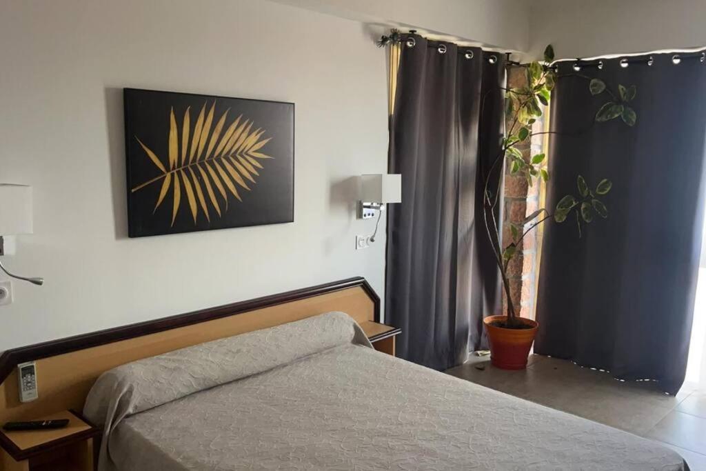 Appartement Porto - Ota Εξωτερικό φωτογραφία